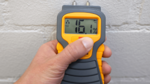 mold remediation equipment