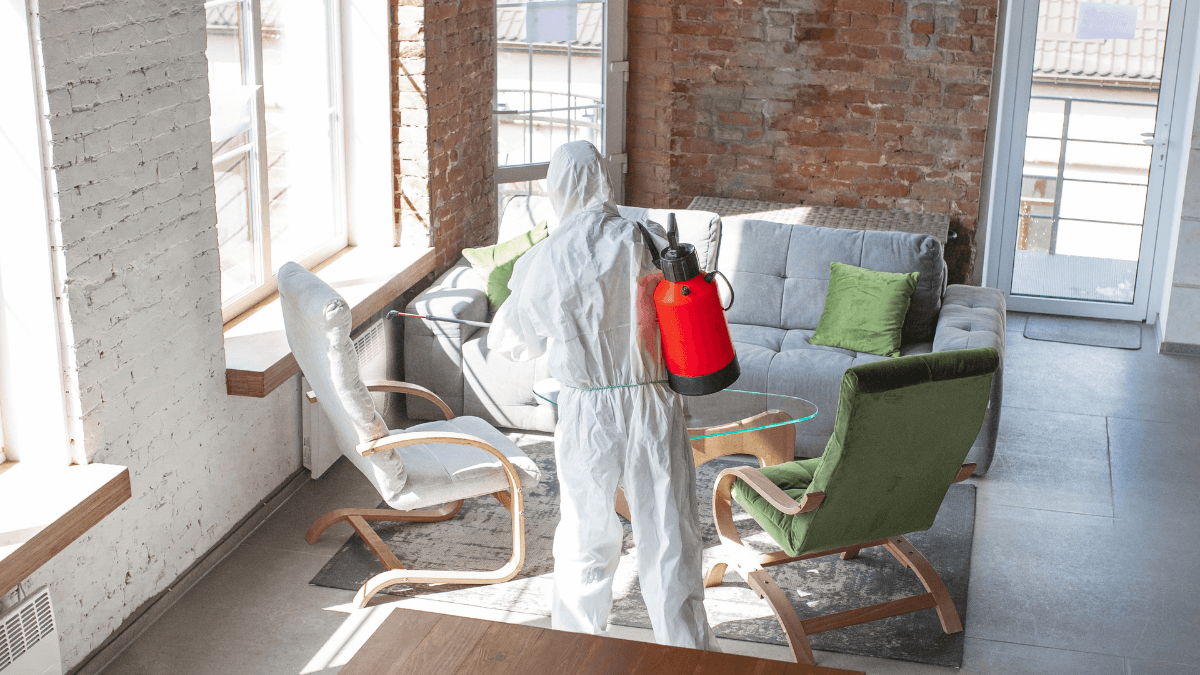 mold remediation business